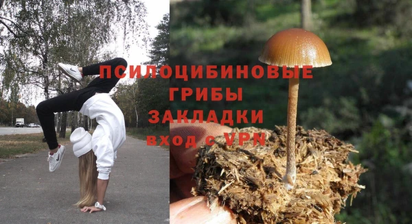 apvp Осинники