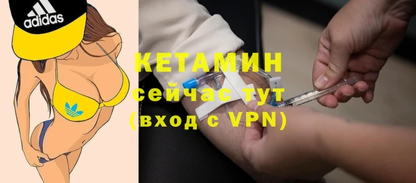 индика Нязепетровск