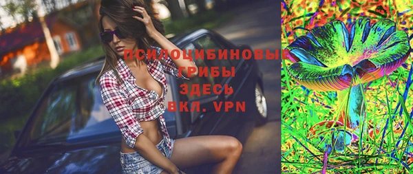apvp Осинники