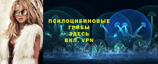 хмурый Осташков