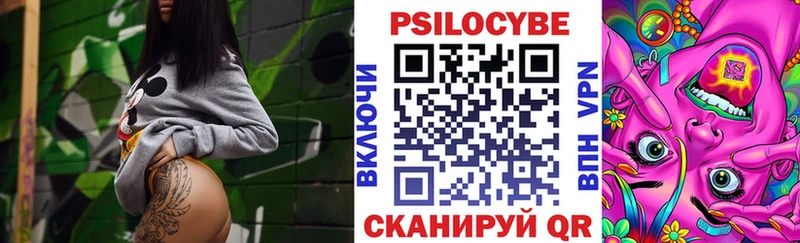 продажа наркотиков Петушки Псилоцибиновые грибы ЛСД
